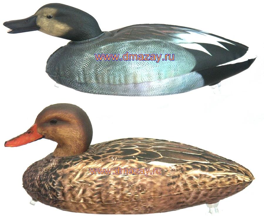         Cherokee Sports   Fusion Series Gadwall MF 965/966